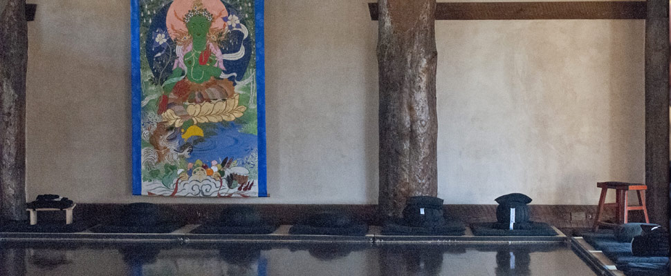 Ascent of Humanity: Upaya Zen Center (2010)
